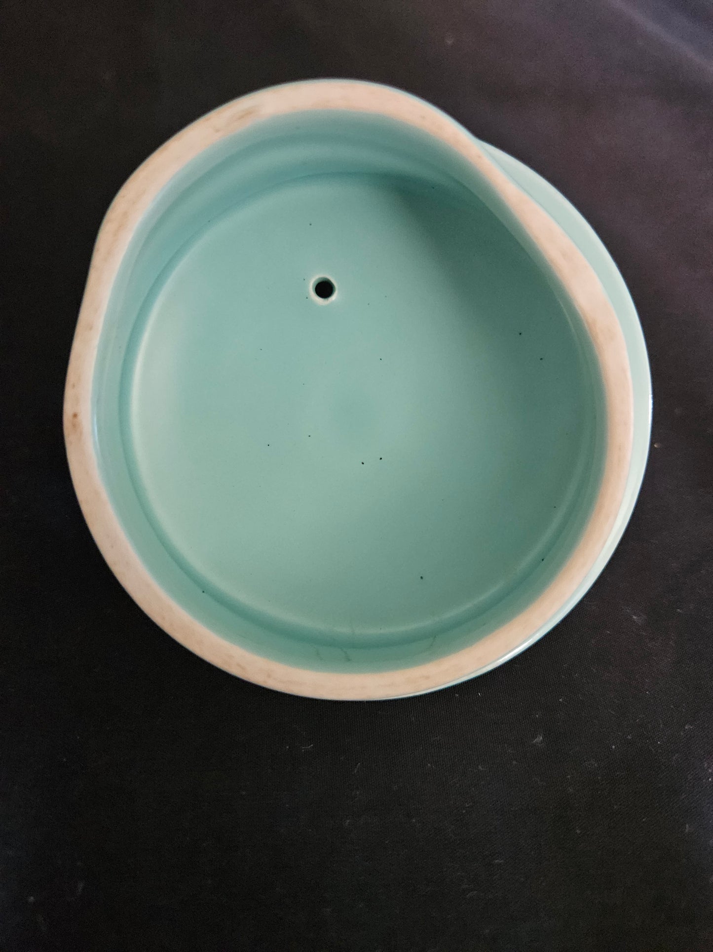 Poole Pottery Twin Tone Ice-Green and Seagull Coffee Pot