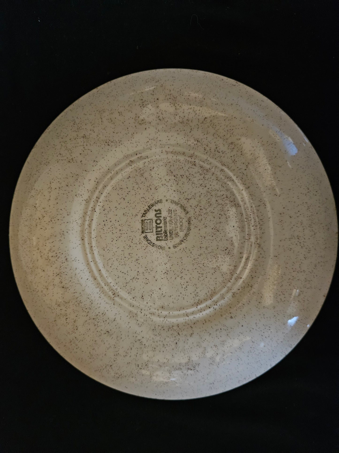 Biltons Brown Daisy Small Dinner Plates x2